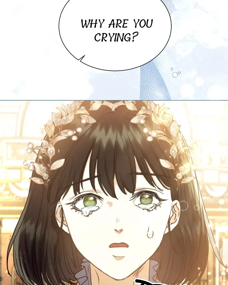 40866278 800 1000 49458